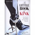 Little Book of Kink Little Book of Kink Image