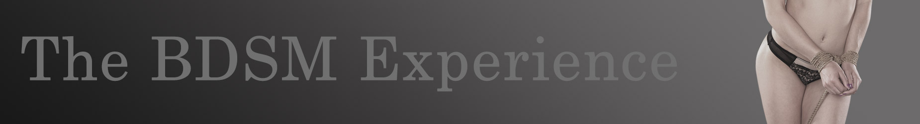 the BDSM Experience the BDSM Experience